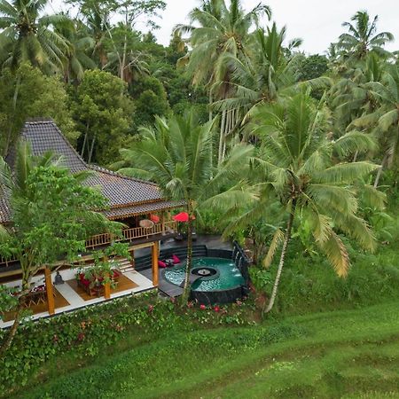 Masakali Retreat Hotel Ubud  Bagian luar foto