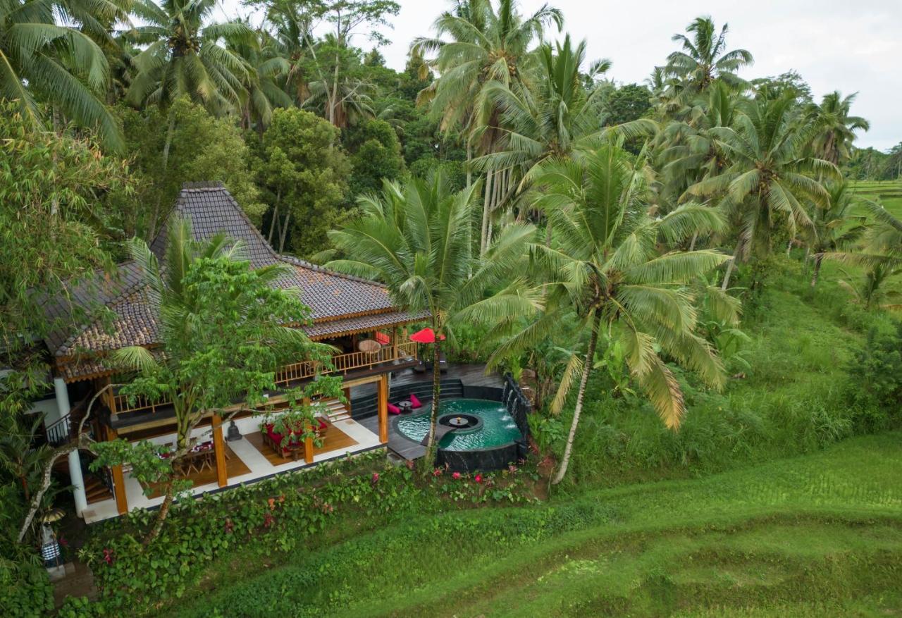 Masakali Retreat Hotel Ubud  Bagian luar foto